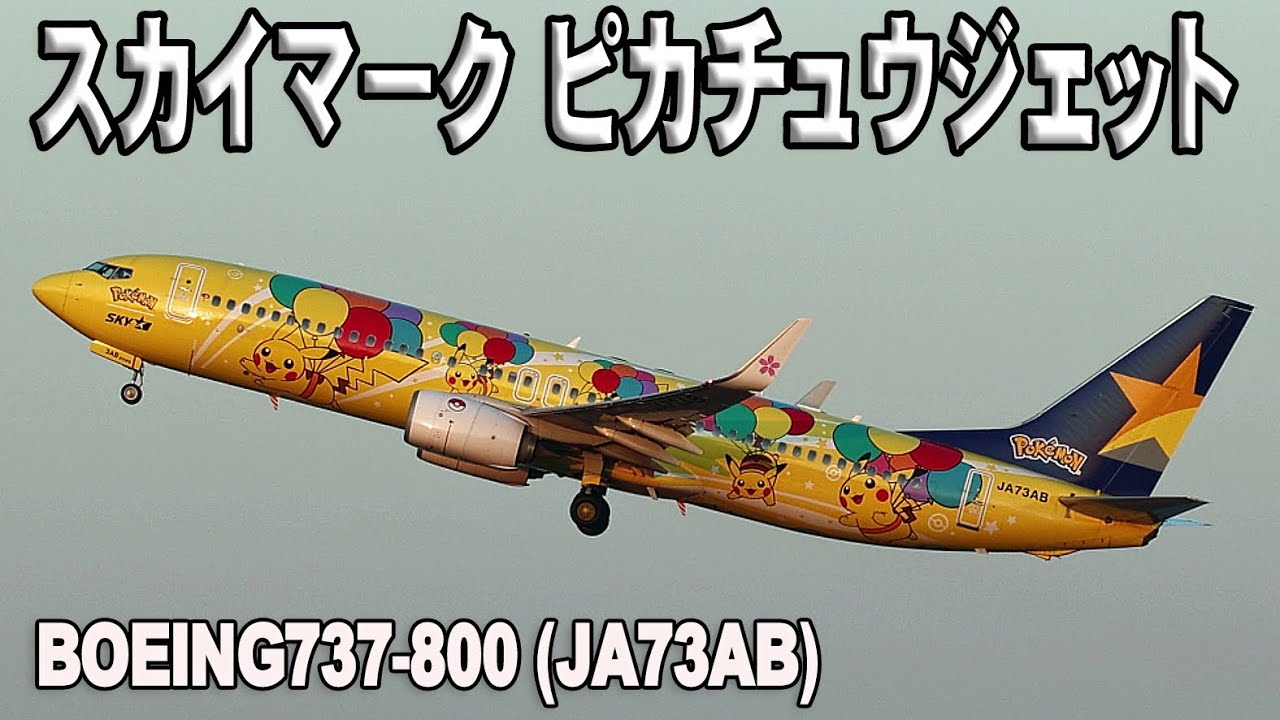 スカイマーク ピカチュウジェットBC 1号機 (JA73AB) Boeing737-800