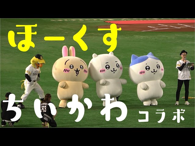 福岡ソフトバンクホークス×ちいかわコラボ ちいかわ ハチワレ うさぎ