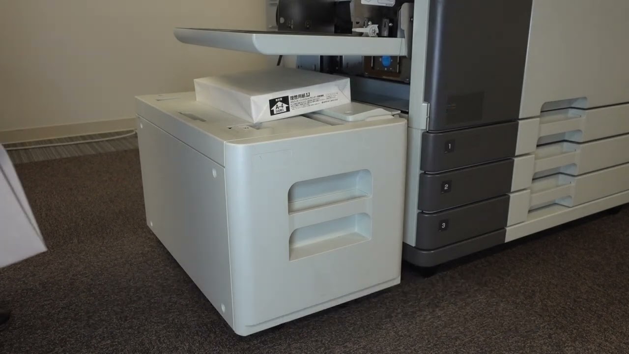 maxresdefault.jpg?sqp=-