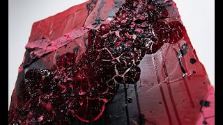 アーティスト 家田 実香 BSフジ『ブレイク前夜 ～次世代の芸術家たち