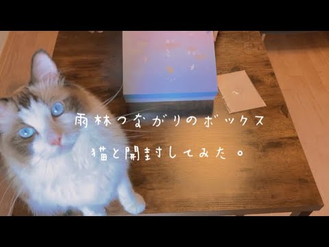 sky公式グッズ開封】今更だけど雨林つながりのボックス開封しました