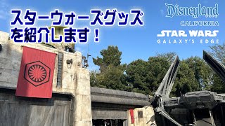 カリフォルニア ディズニー 】ディズニーランド・パークのスター