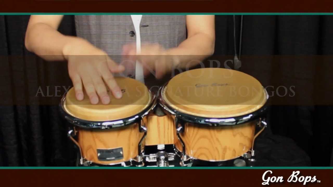 Alex Acuna Signature Bongo - Gon Bops