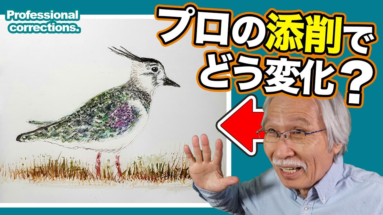 Eng sub] Bird painting / What happens when a professional corrects