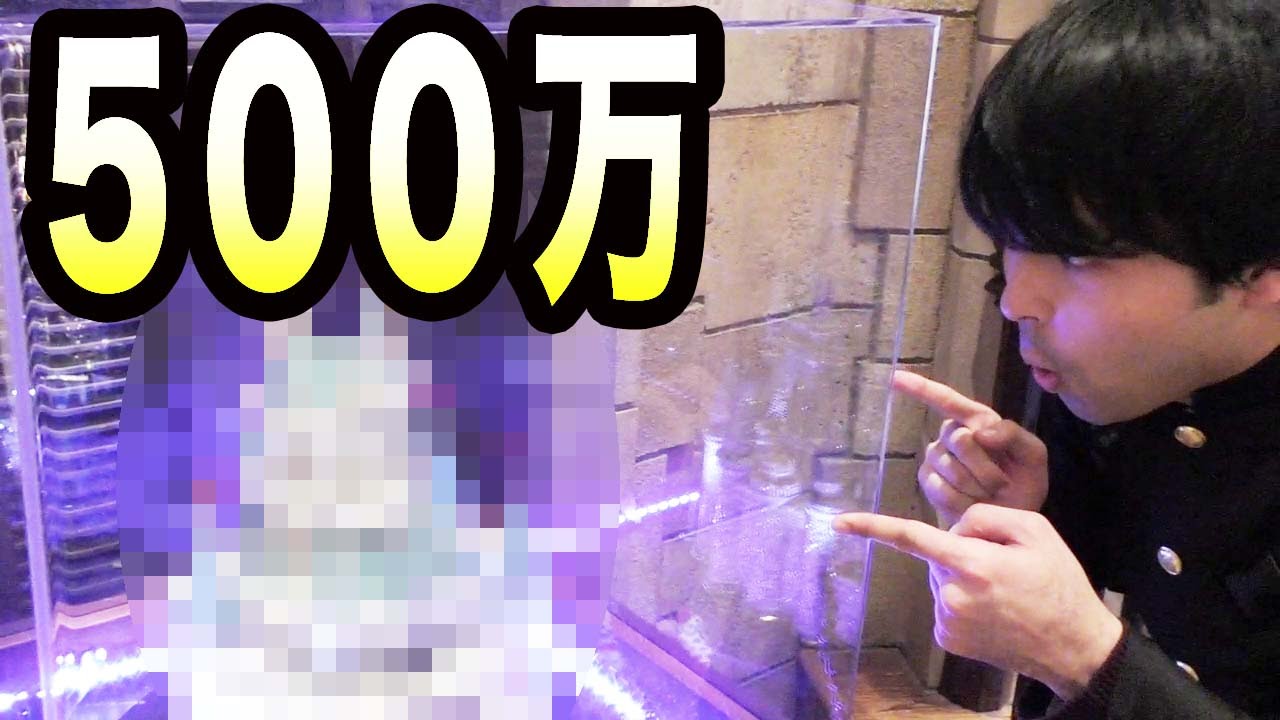 The most expensive souvenir at Disney is shocking! - YouTube