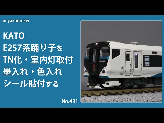 Nゲージ】 KATO E257系踊り子をTN化、室内灯取付、墨入れ・色入れ