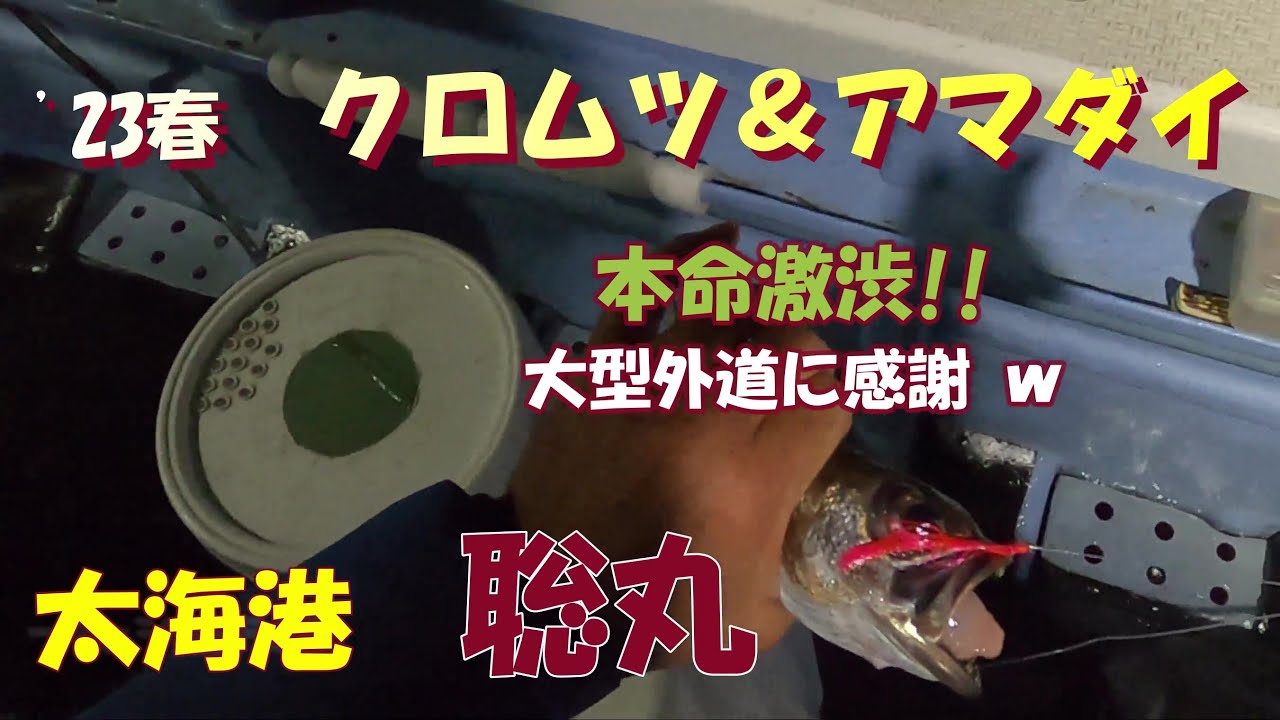 23春 外房のクロムツ＆アマダイ 聡丸 - YouTube