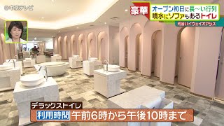 高速道路のパーキングエリアに“豪華すぎるトイレ” 噴水にソファに“古代