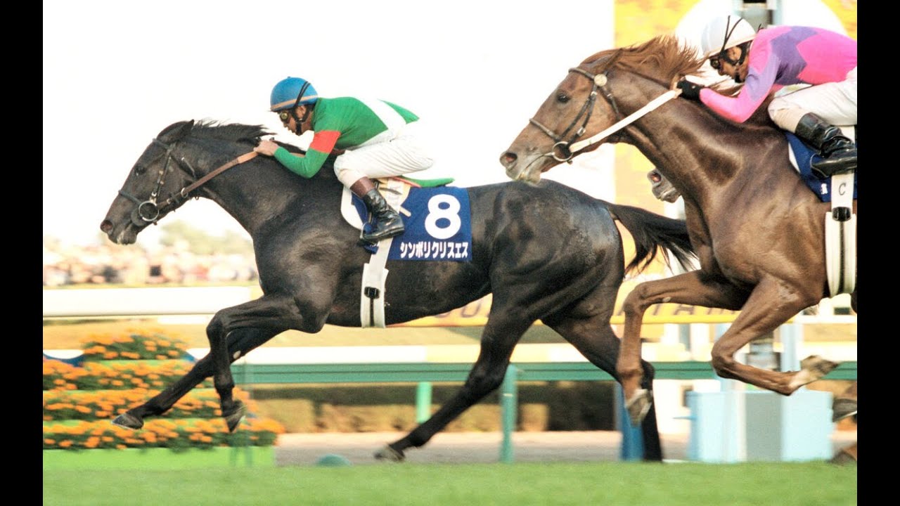 2002 宝塚記念 ダンツフレーム - YouTube