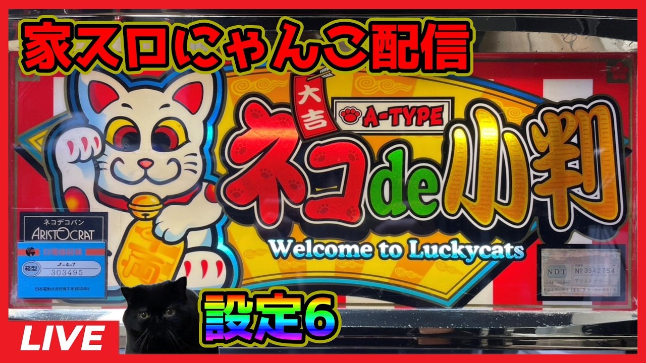 パチスロ実機配信】安西ひろこの黄金の秘宝【設定6】 - YouTube