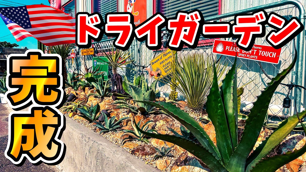 ドライガーデン】 理想を追求したアガベだらけのロックガーデンが遂に