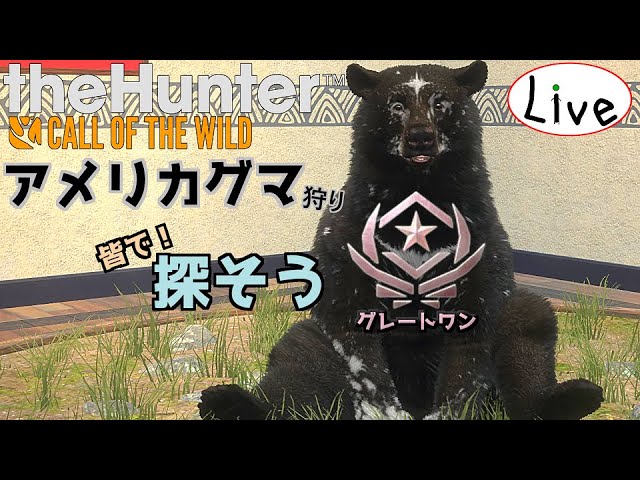アメリカグマのグレートワンを探そう！_#240【theHunter：生配信