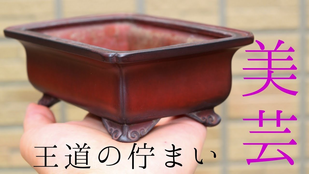 盆栽鉢紹介！常滑作家 平田美芸鉢 Tokoname Bigei Bonsaipot - YouTube