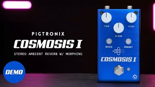 PIGTRONIX ( ピグトロニクス ) COSMOSIS I 送料無料 | サウンドハウス
