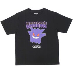 ヨドバシ.com - ファインプラス 22863174 [ポケットモンスター