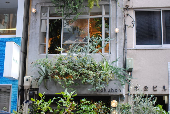 1点ものの植物がたくさん♪銀座一丁目駅すぐのグリーンと“うつわ”の店