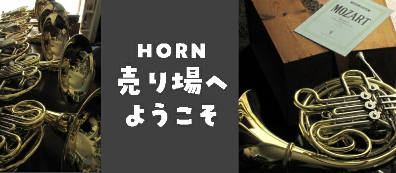 楽天市場】ティルツ ホルン マウスピース ゲルト・ザイフェルト(モデル