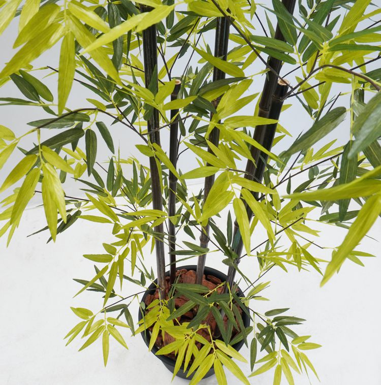 楽天市場】黒竹 180cm 5本立て (観葉植物 フェイク 人気 造花 くろちく