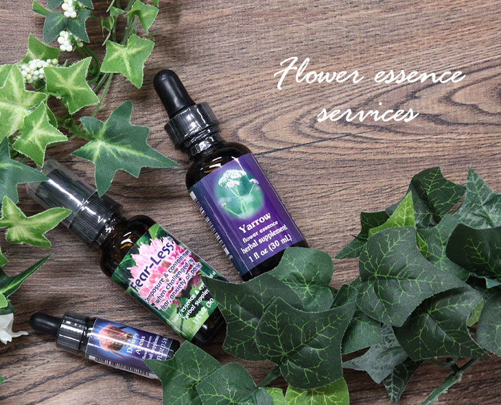 楽天市場】ポストトラウマ・スタビライザー FESフラワーエッセンス