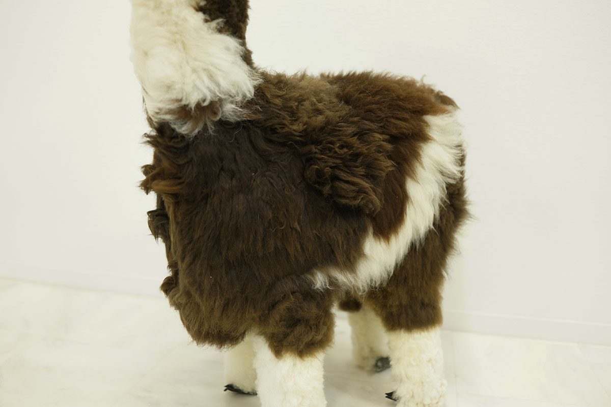 楽天市場】アルパカ ぬいぐるみ 特大 大サイズ Lサイズ人形 置物