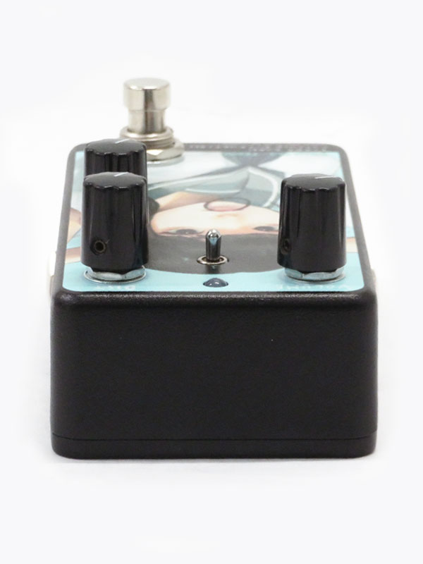 Animals Pedal】アニマルズペダル『ディストーション』Tioga Road