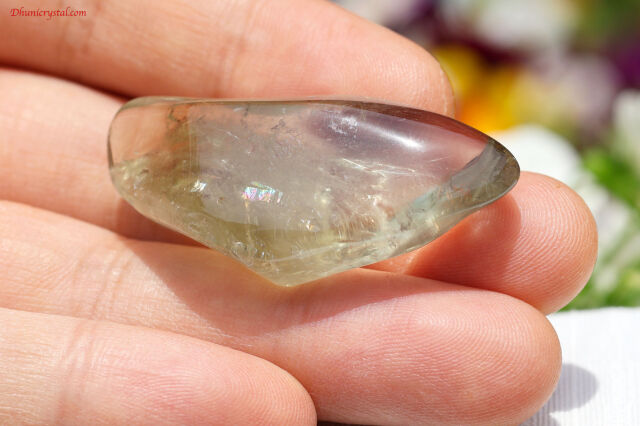 a653-4.jpg?t=20250523140108