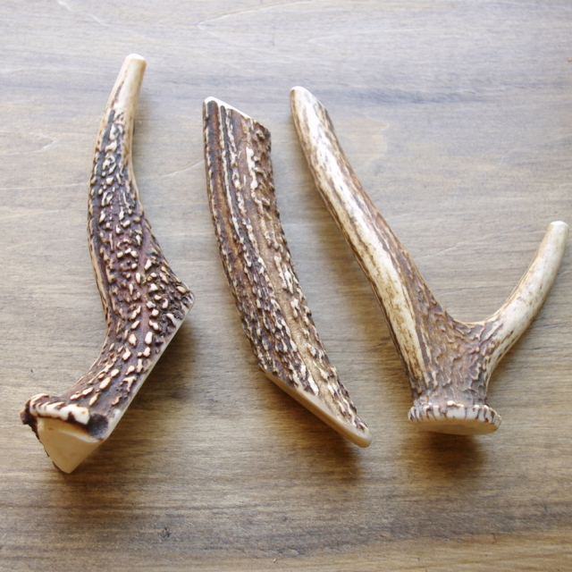 天然鹿の角 噛むおもちゃ 【高知産】