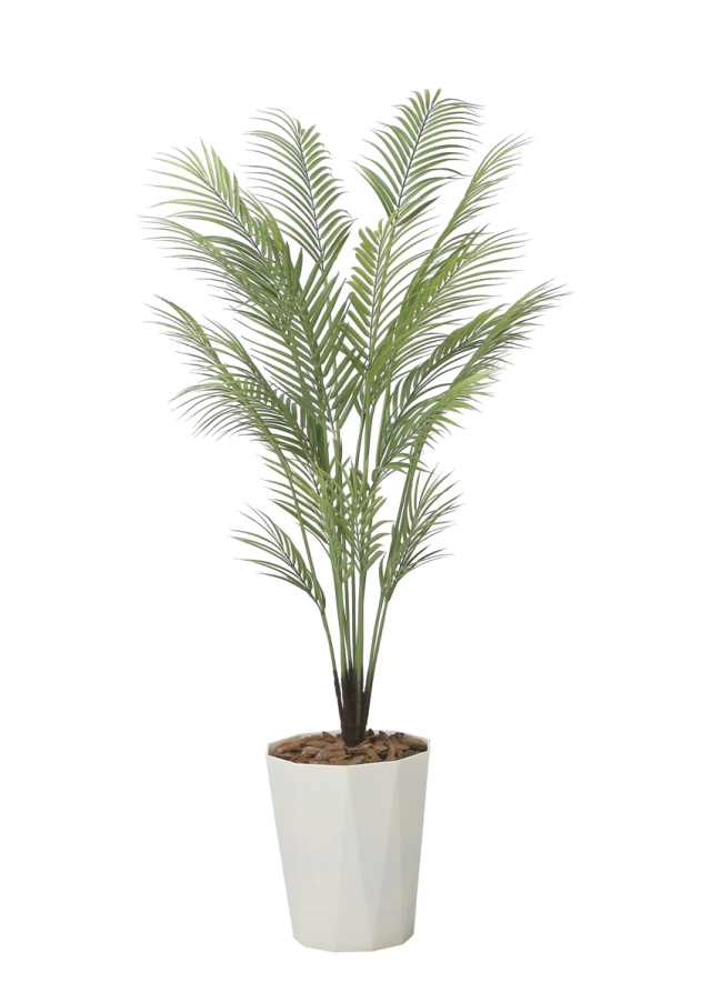 光触媒 光の楽園 ナチュラルトラベラーズパーム1.6【インテリア