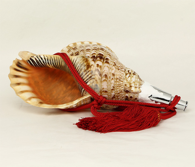 No.1 法螺貝（ほら貝） 大型 | 高級神棚・神具の通販なら伊勢宮忠