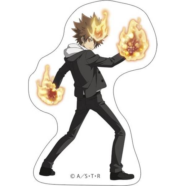 家庭教師ヒットマン REBORN！ ステッカー/沢田綱吉 | 4550621282362