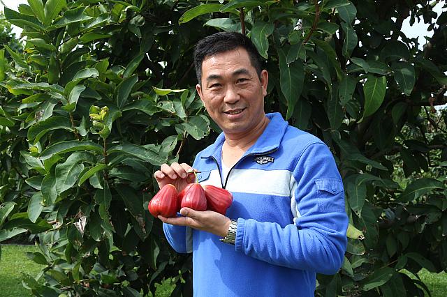 黒金剛農場（屏東県） | 台湾エンタメ・レジャー－台北ナビ