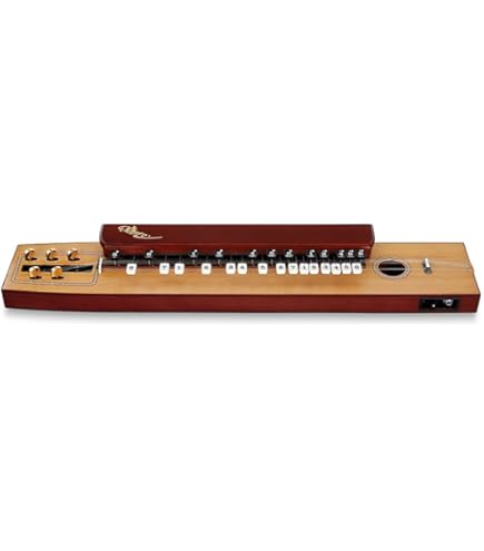 Amazon | SUZUKI スズキ 電気大正琴 砂丘 ソプラノ | 大正琴 | 楽器