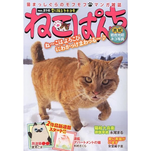 ねこぱんち 雪に踊る冬ネコ号 (にゃんCOMI) | アンソロジー |本 | 通販