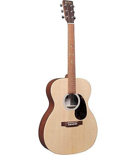 Amazon | 【国内正規品】MARTIN マーティン D-10E エレアコギター