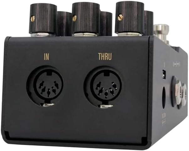 Walrus Audio R1 High Fidelity Stereo Reverb - 6種類のプロ