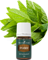 YLドリームキャッチャー 15ml | ヤング・リビング精油 | Young Living