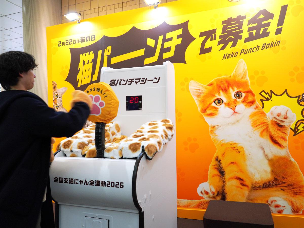 渋谷区観光大使ごゆるりアンバサダーに「リラックマ」就任 - シブヤ