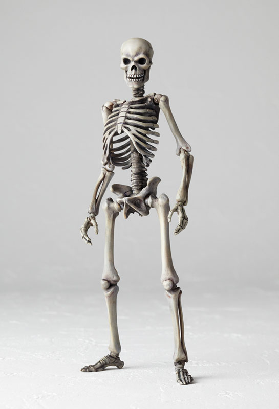 特撮リボルテック No.020 骸骨剣士 『アルゴ探検隊の大冒険』より (1st