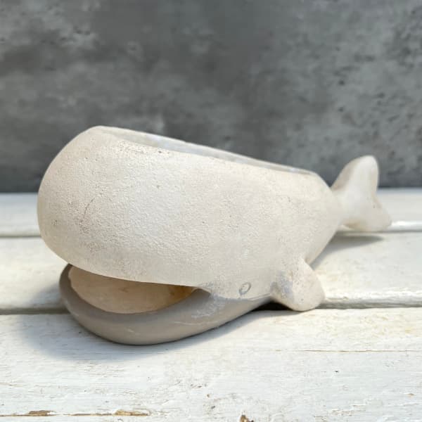 園芸ネット本店｜プラヤポットクジラ・ホワイトKL63WH の通販【公式】