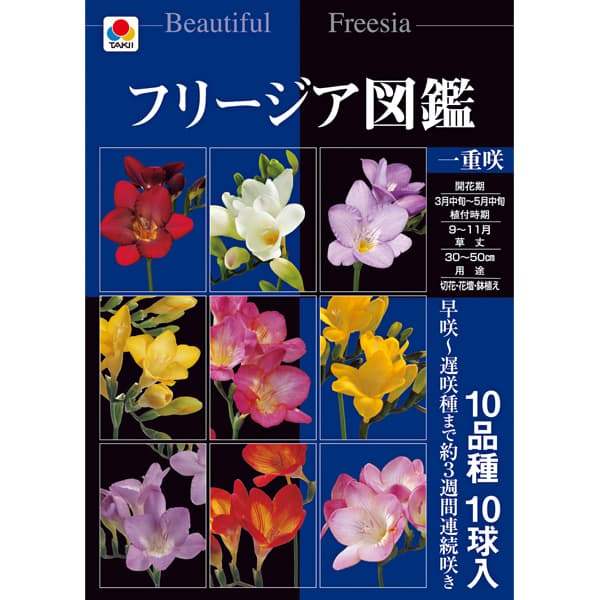 園芸ネット本店｜フリージア図鑑：一重咲き（10品種の球根セット） の