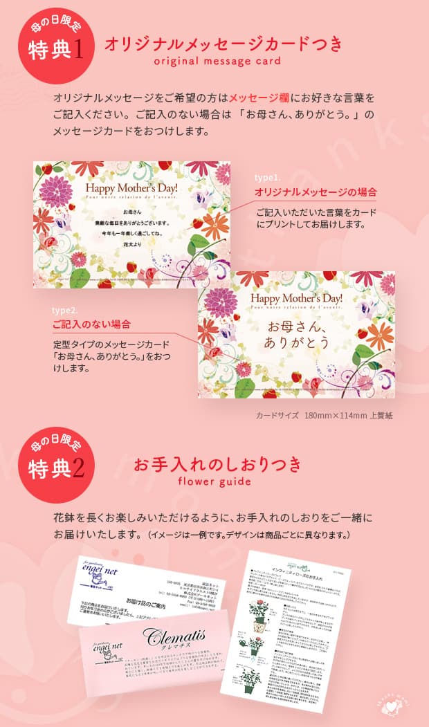 園芸ネット本店｜[送料無料][2024年遅れてごめんね 母の日ギフト