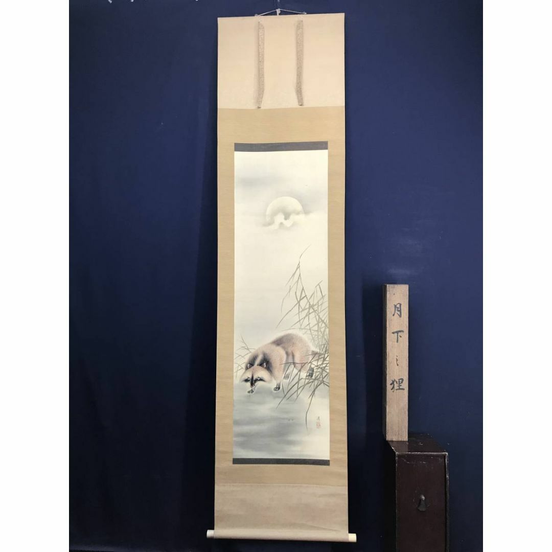 真作】清/月下狸図/タヌキ図/狸図/花鳥図/掛軸☆宝船☆AD-14の通販 by