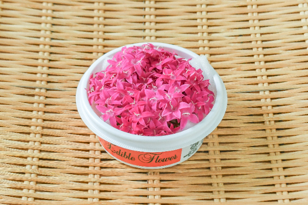 エディブルフラワー（おまかせ） 【業務用食材の仕入れなら八面六臂】