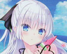 傷】 RR 凛々しく咲く 梨璃 販売 | アサルトリリィ BOUQUET | ヴァイス