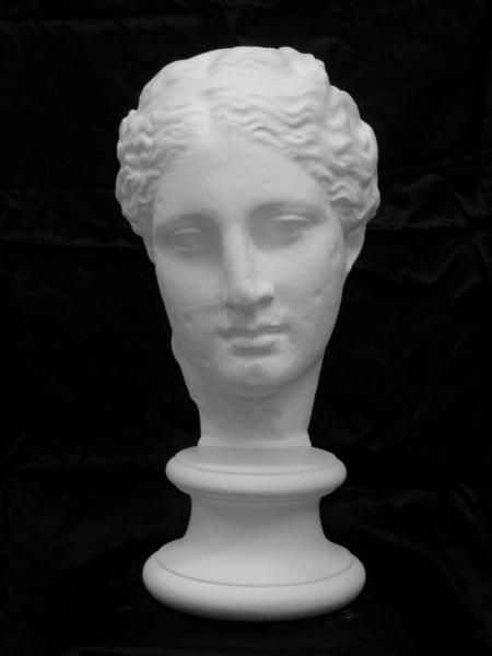 S-204 古代ヴィーナス首像（アバタのヴィーナス） - 日本で唯一の石膏