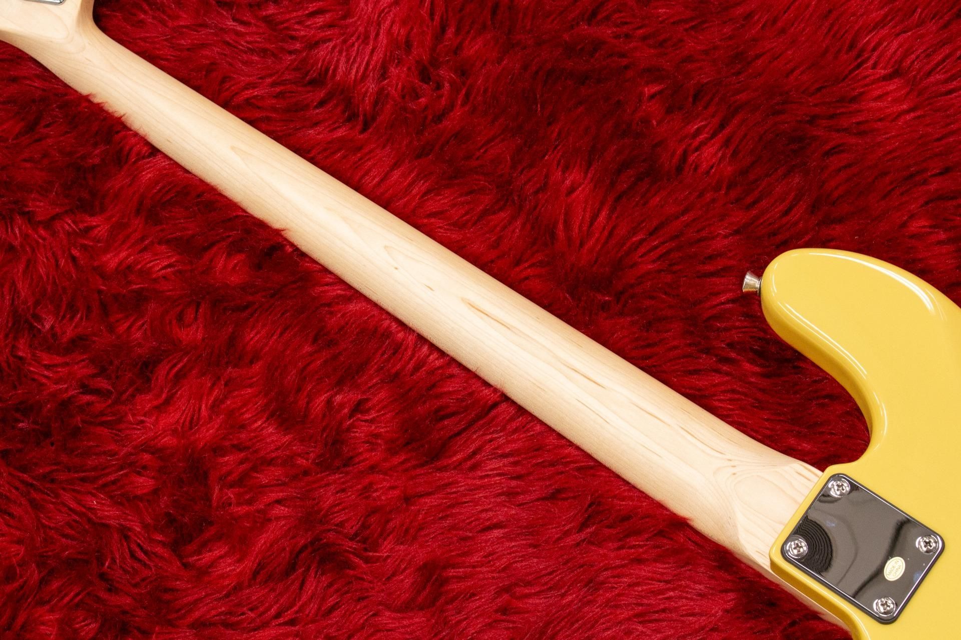 new】Bacchus / BTB-PJ/M BBD-MH【GIB兵庫】 - Geek IN Box