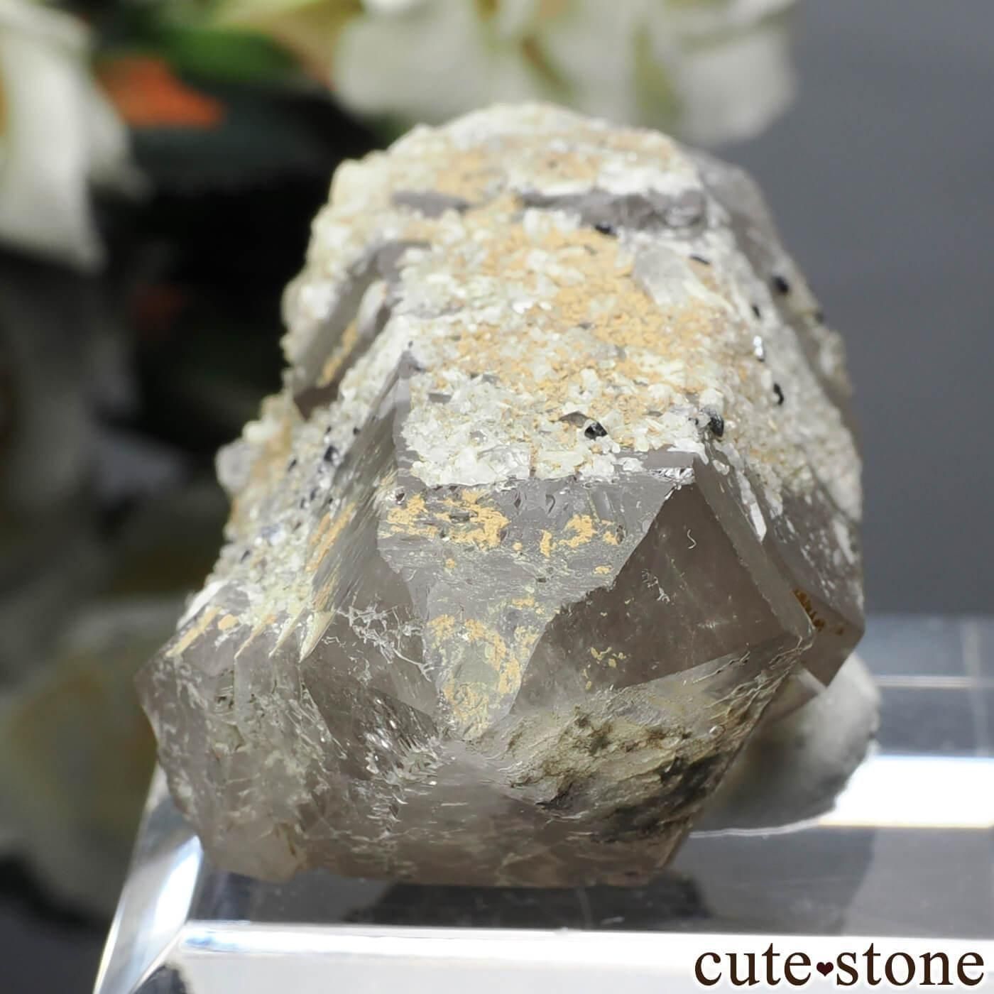 ノルウェー Hardangervidda産 アナテース＆クォーツ の原石 No.10