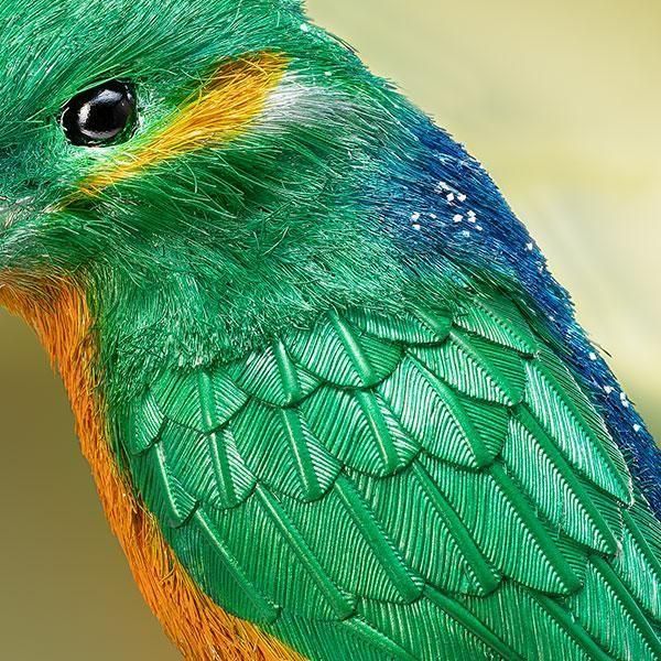 銀製 翡翠 ー 三宝堂オンラインショップ