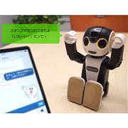 シャープ RoBoHoN SR-01M-W SIMフリー 価格比較 - 価格.com