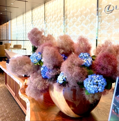 季節の花（アジサイとスモークツリー）のアレンジメントのご紹介